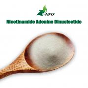 Nicotinamide Adenine Dinucleotide(NAD)