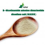 Nicotinamide adenine dinucleotide reduced disodium salt(NADH)