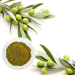 Olive Leaf Extract